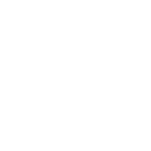 RH Experience